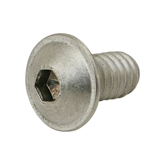 side view of a metal screw with a hex shape hole in the head which is on the left and a short threaded stem on the right