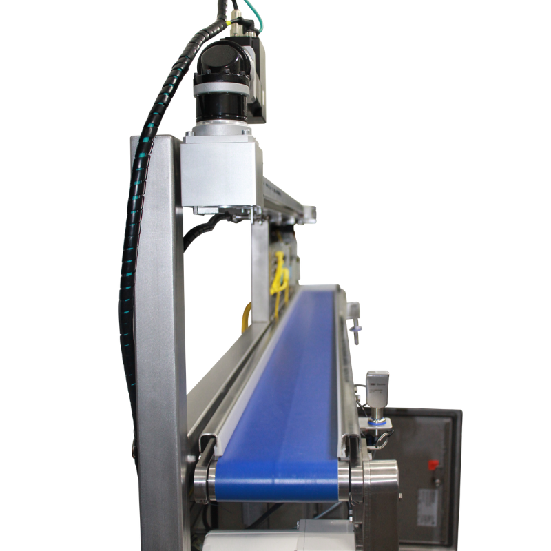 Motion control powered conveyer belt