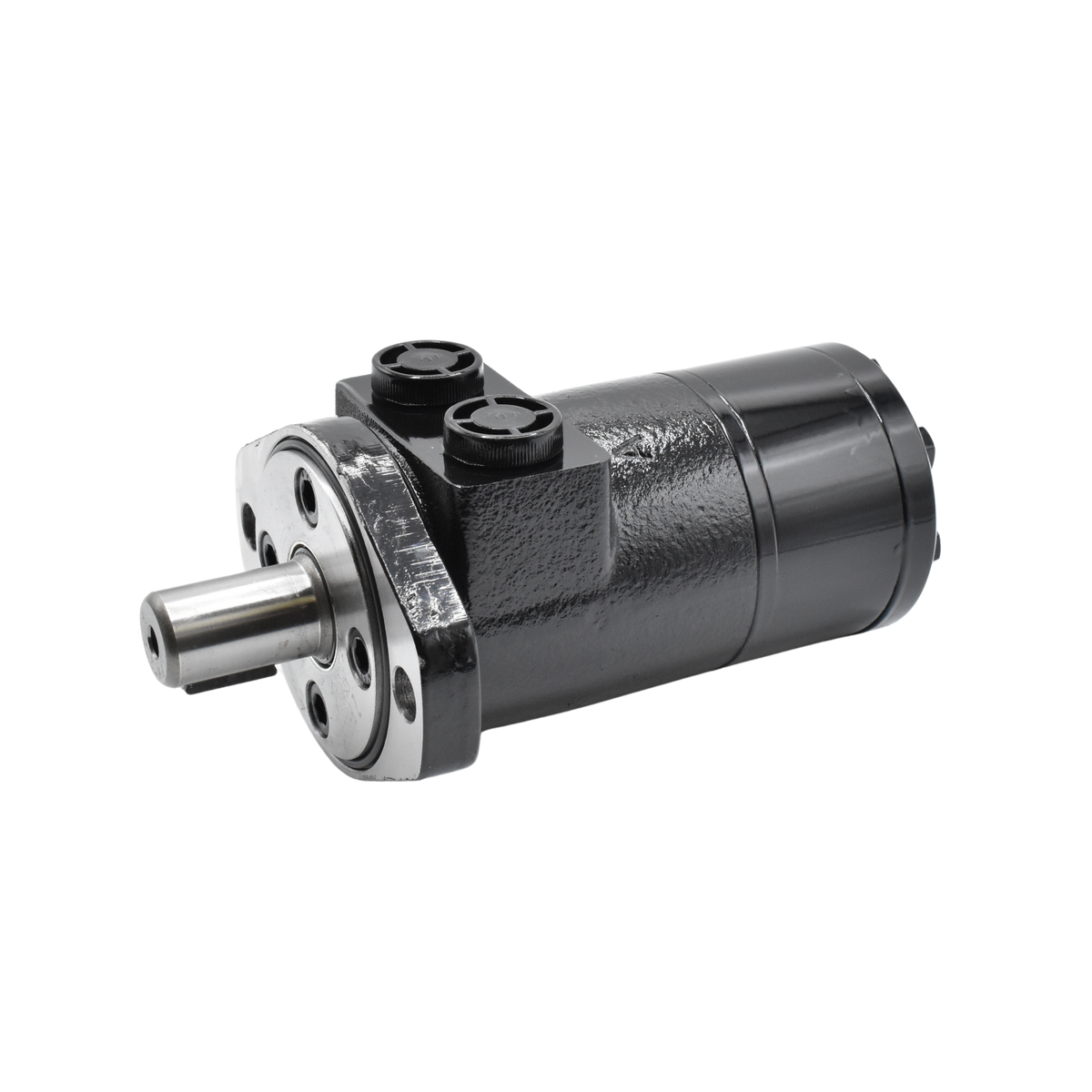 Hydraulic | LSHT Motor, 312cc, 192RPM | BMPH-315-H2-K-P