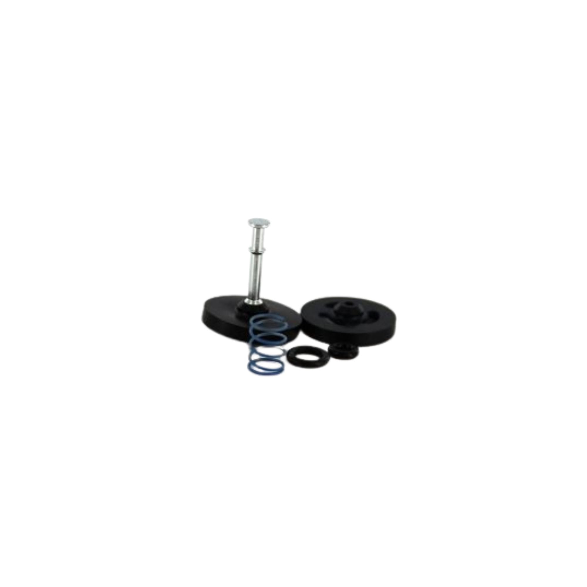 pieces of a seals repair kit, including a spring, a black ring, two black pieces, one with a metal stem