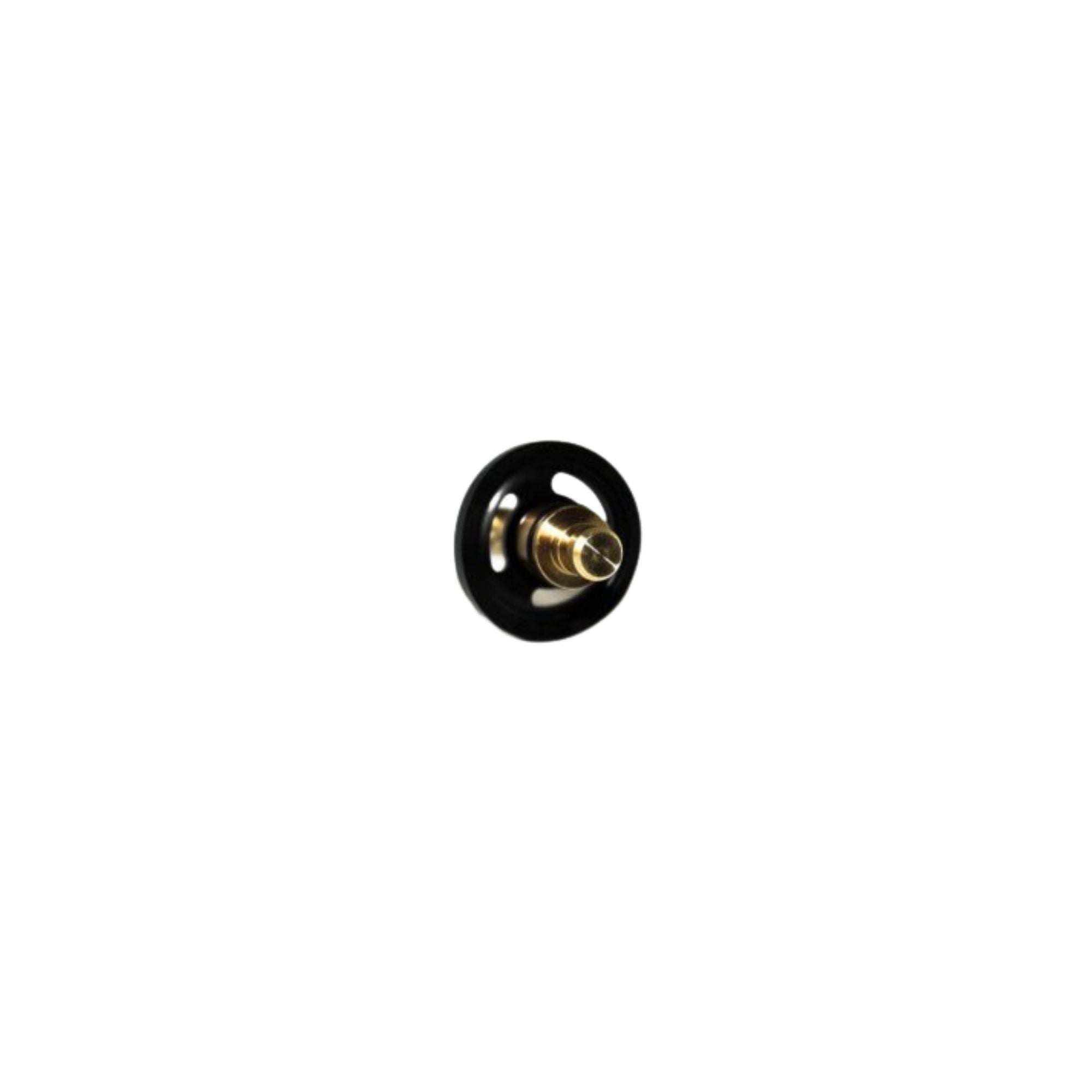 black circular ring with a brass stem in the center