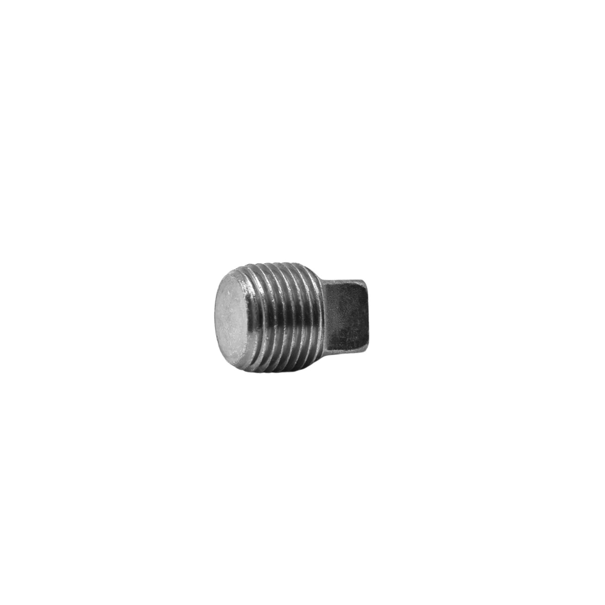 Hydraulics | 08 Square Head Pipe Plug | 5406-SHP-08