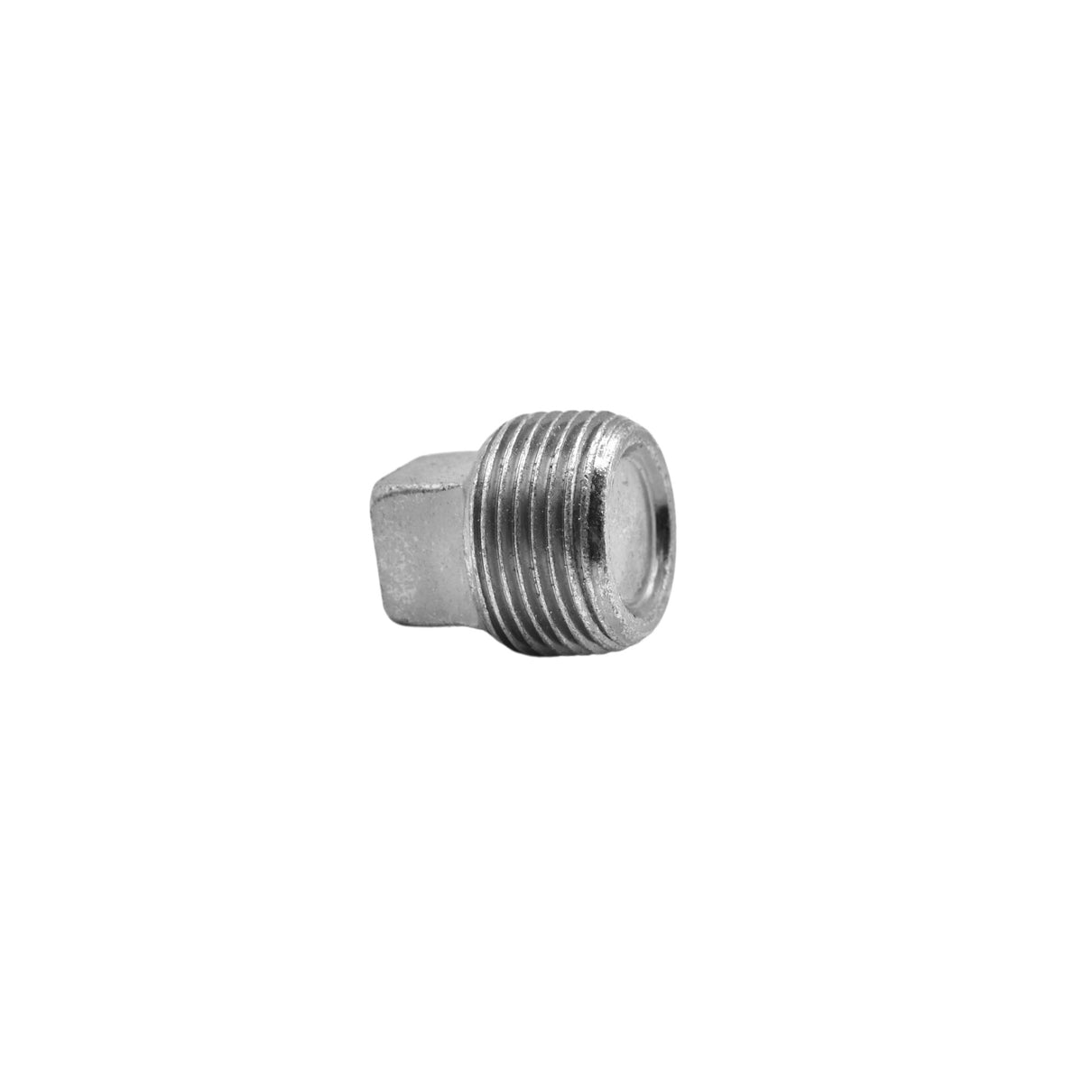 Hydraulics | 12 Square Head Pipe Plug | 5406-SHP-12