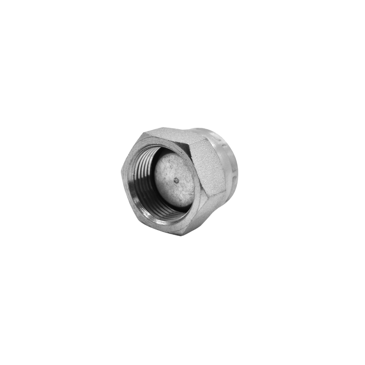 Hydraulics | 12FBSPP Cap | 9644-C-12
