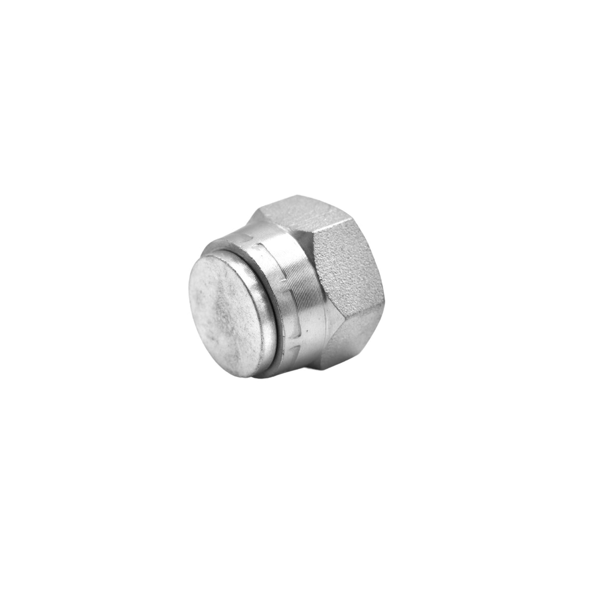Hydraulics | 12FBSPP Cap | 9644-C-12