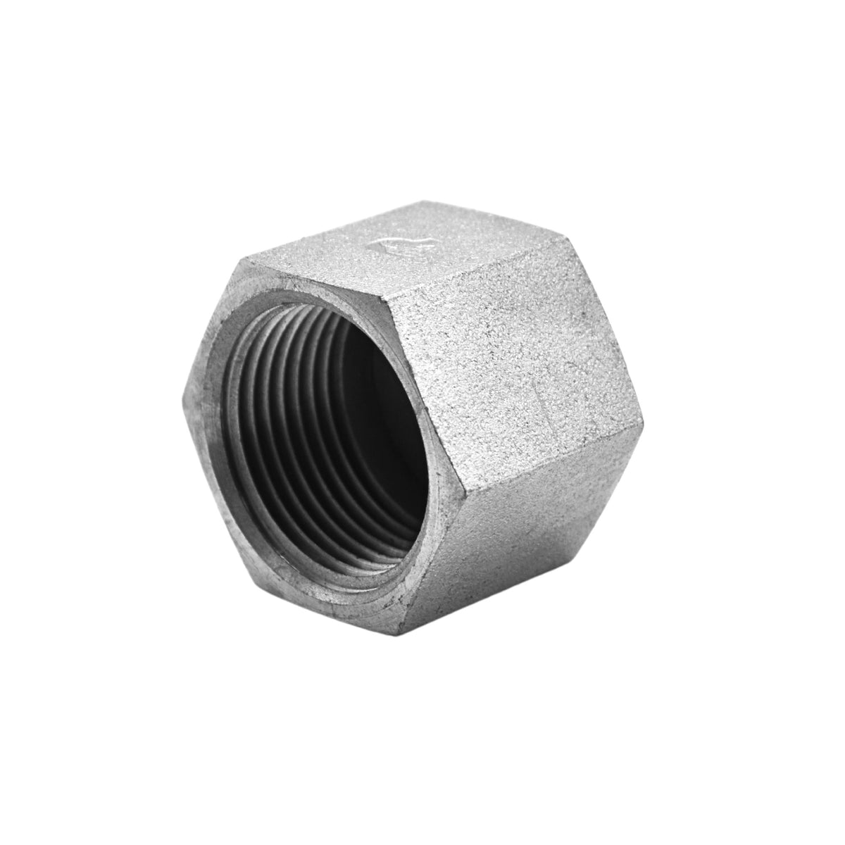 Hydraulics | 16 Pipe Cap | 5406-C-16