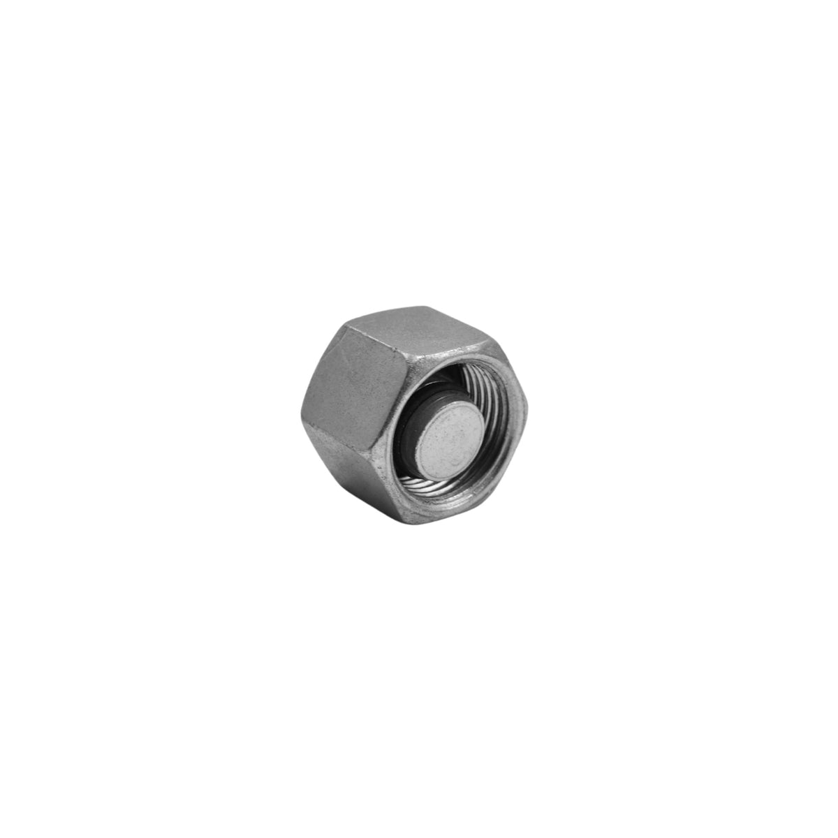 Hydraulics | Blanking Cap | D8003-S12