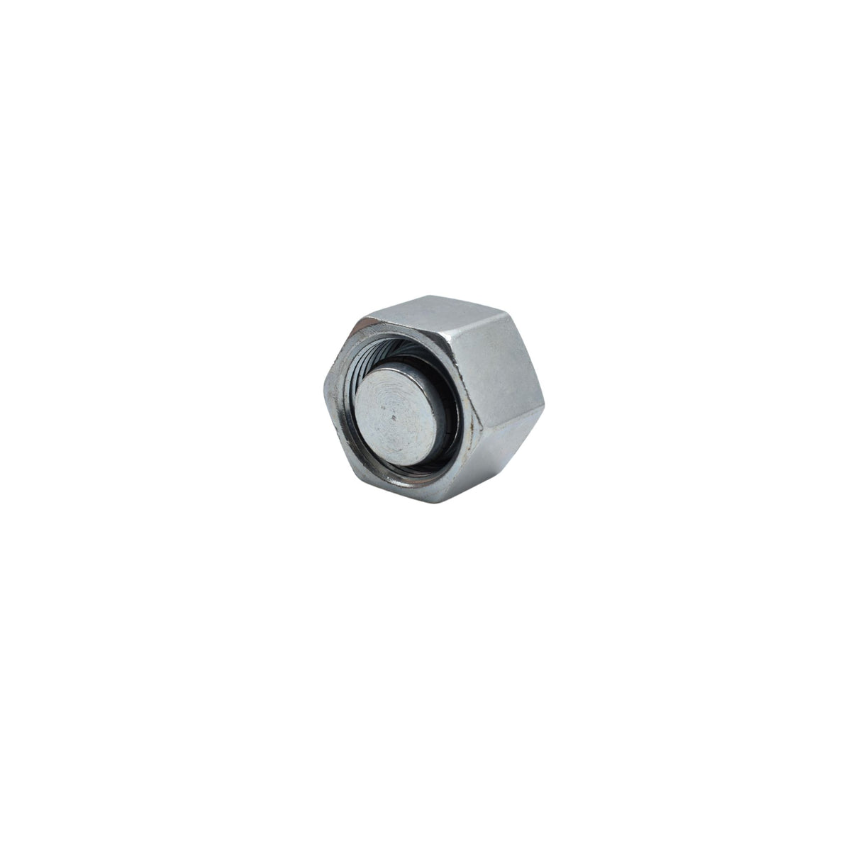 Hydraulics | Blanking Cap | D8003-S20