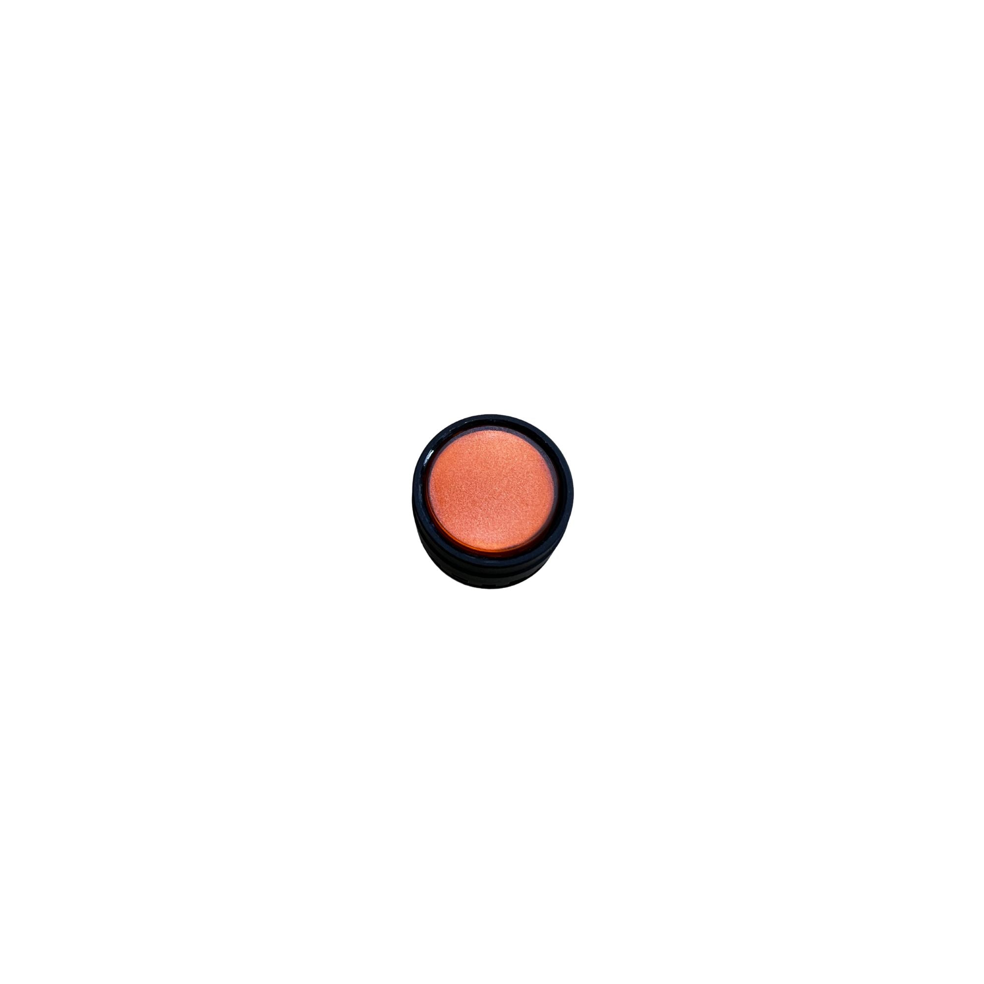 orange circle with black outline