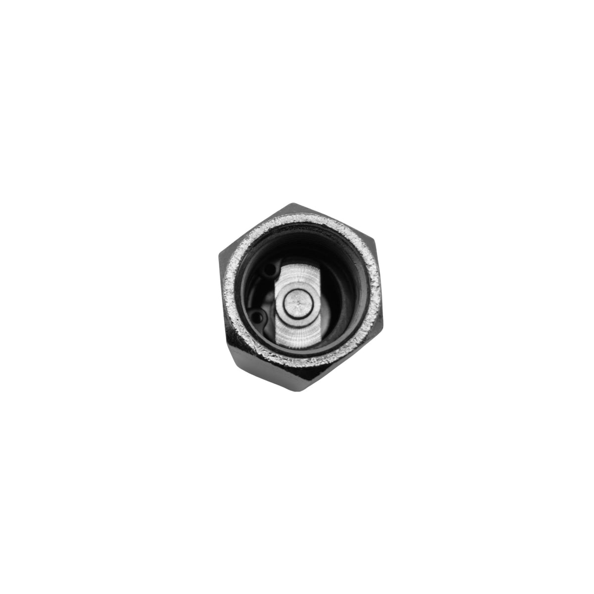 Numatics | Aventics NP Brass Inline Check Valve 1/2 in FNPT, 213PSI | CV4FN-A