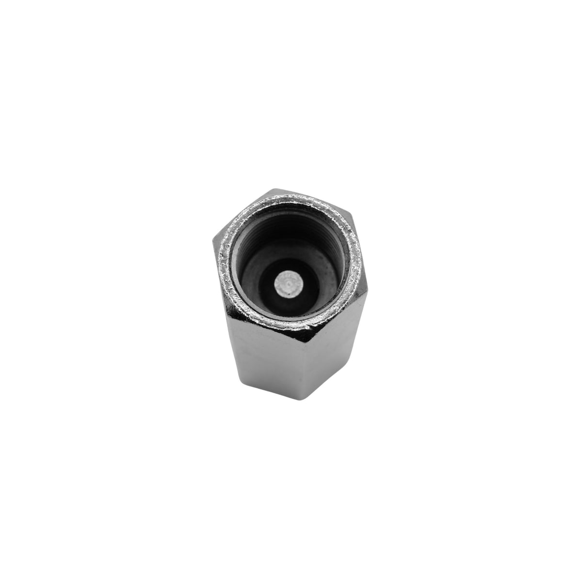 Numatics | Aventics NP Brass Inline Check Valve 1/2 in FNPT, 213PSI | CV4FN-A