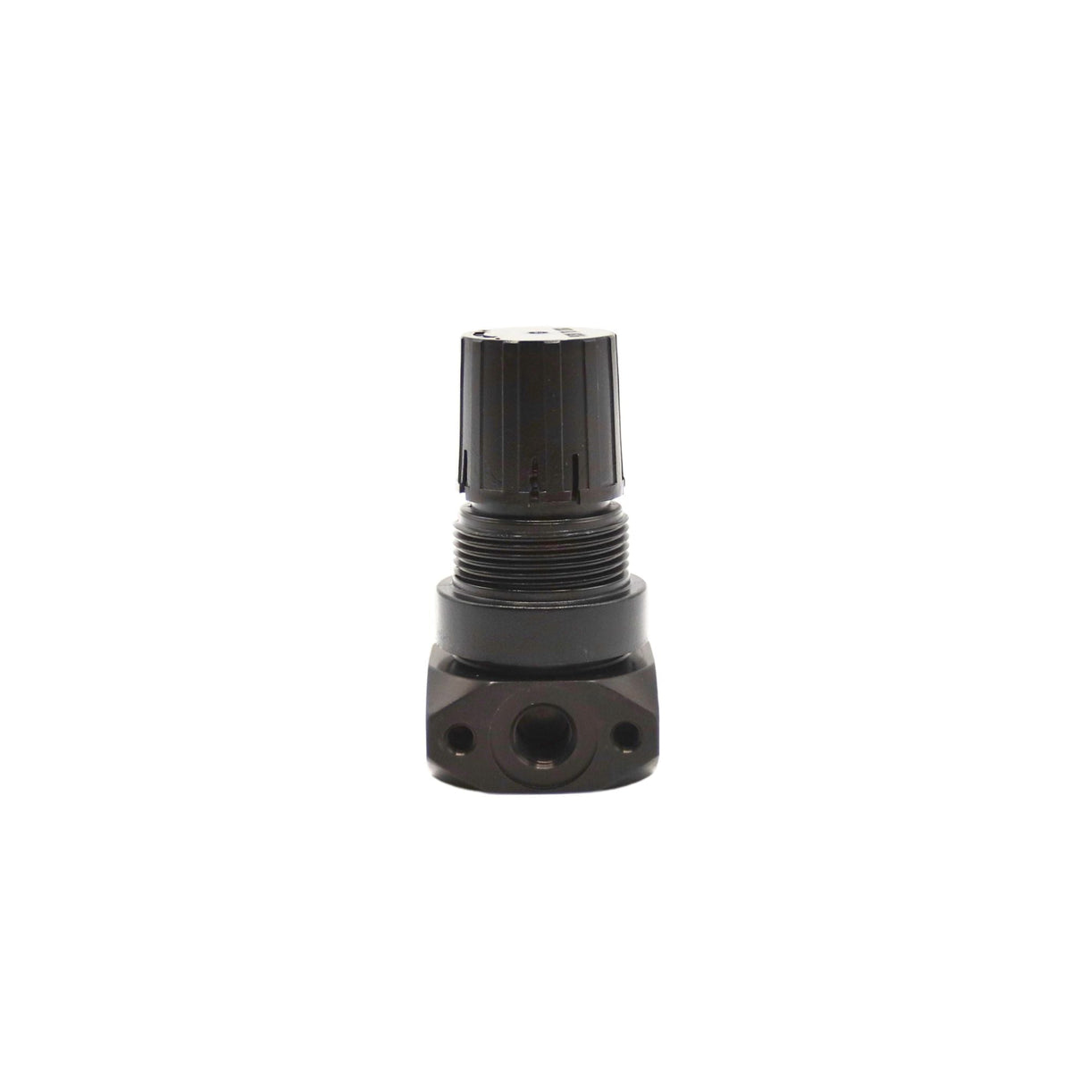 Regulator 12 Series 1/8 in NPT